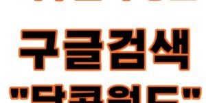 나주오피