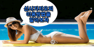 신시가지오피
